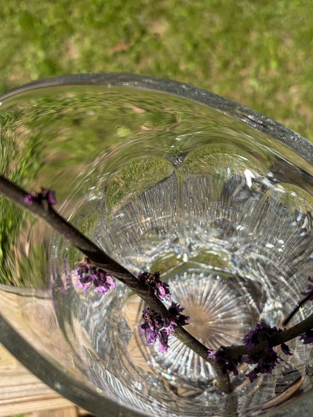 Vintage Clear Glass Pitcher Paneled Starburst Base Scalloped Rim Farmhouse Vase - Picture 7 of 10
